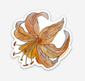 Tiger Lily Sticker
