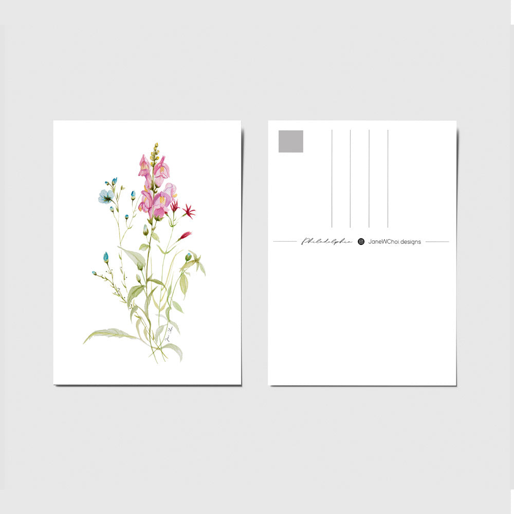 Hannah • Helen • Melissa Bundle