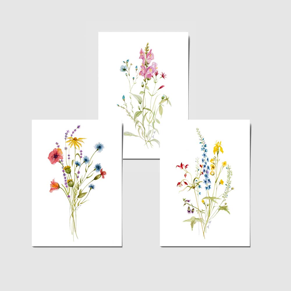 Hannah • Helen • Melissa Bundle