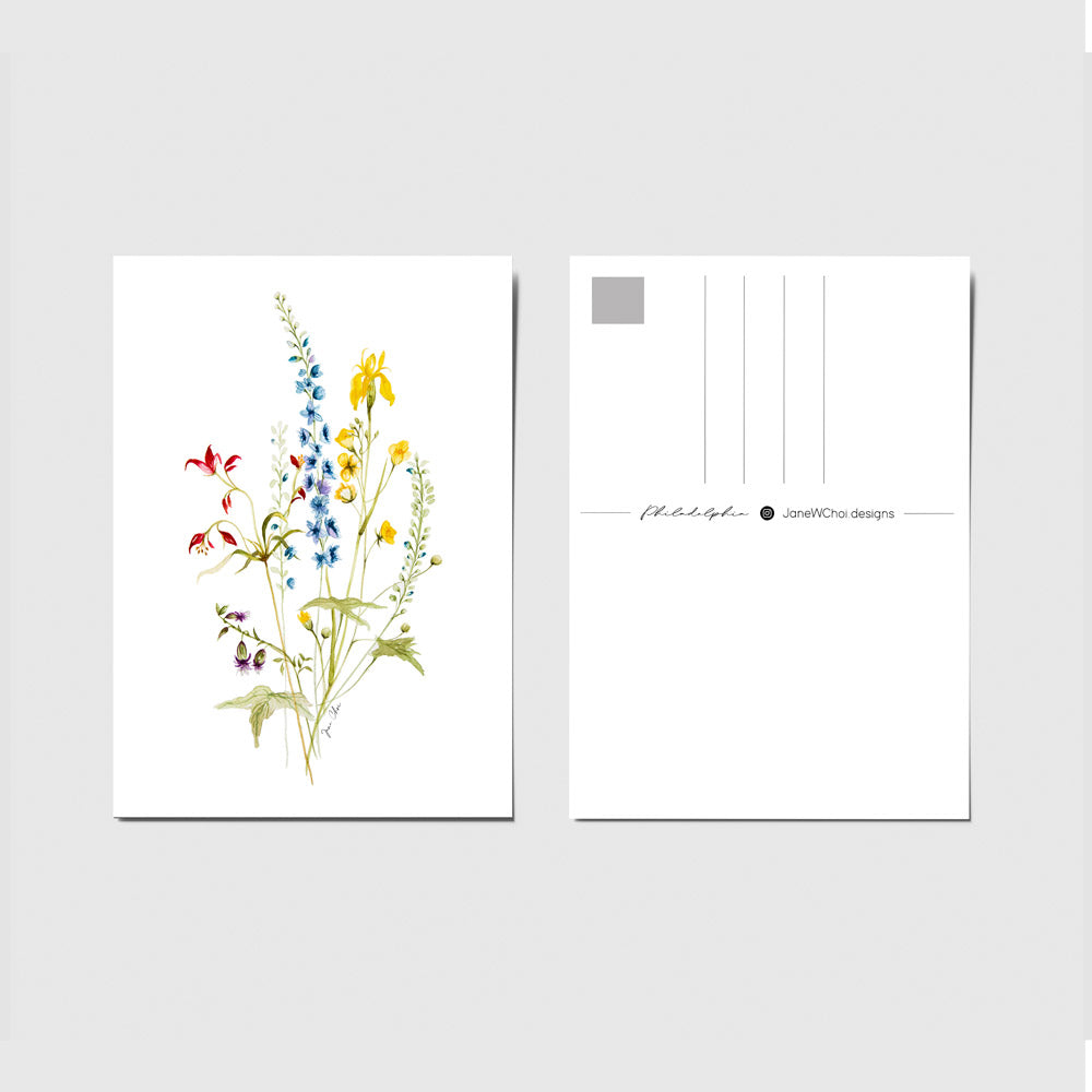 Hannah • Helen • Melissa Bundle