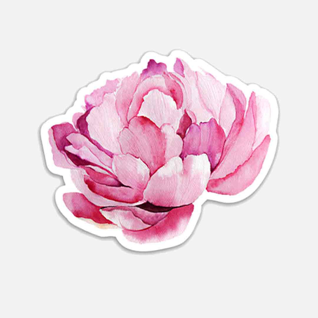 Pink Peony Sticker