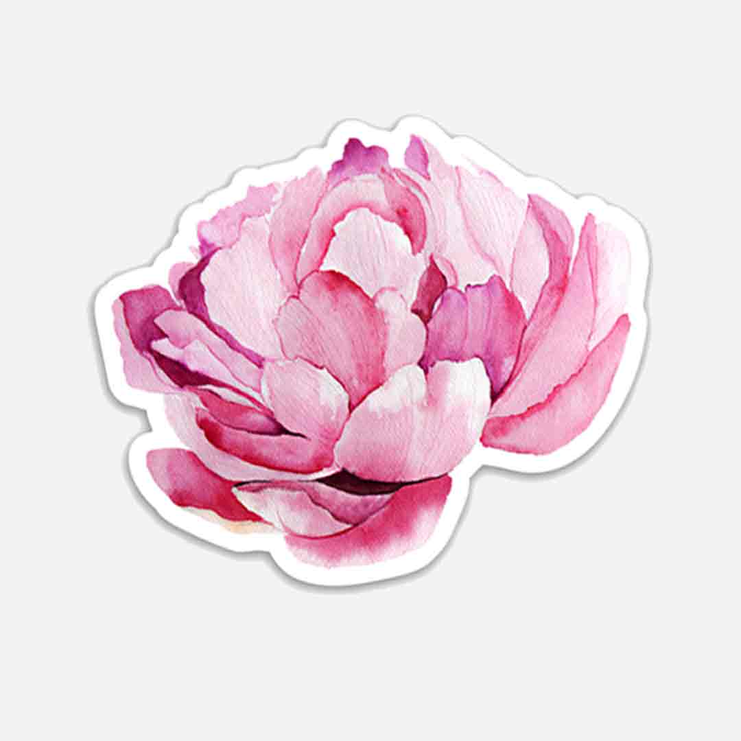 Pink Peony Sticker