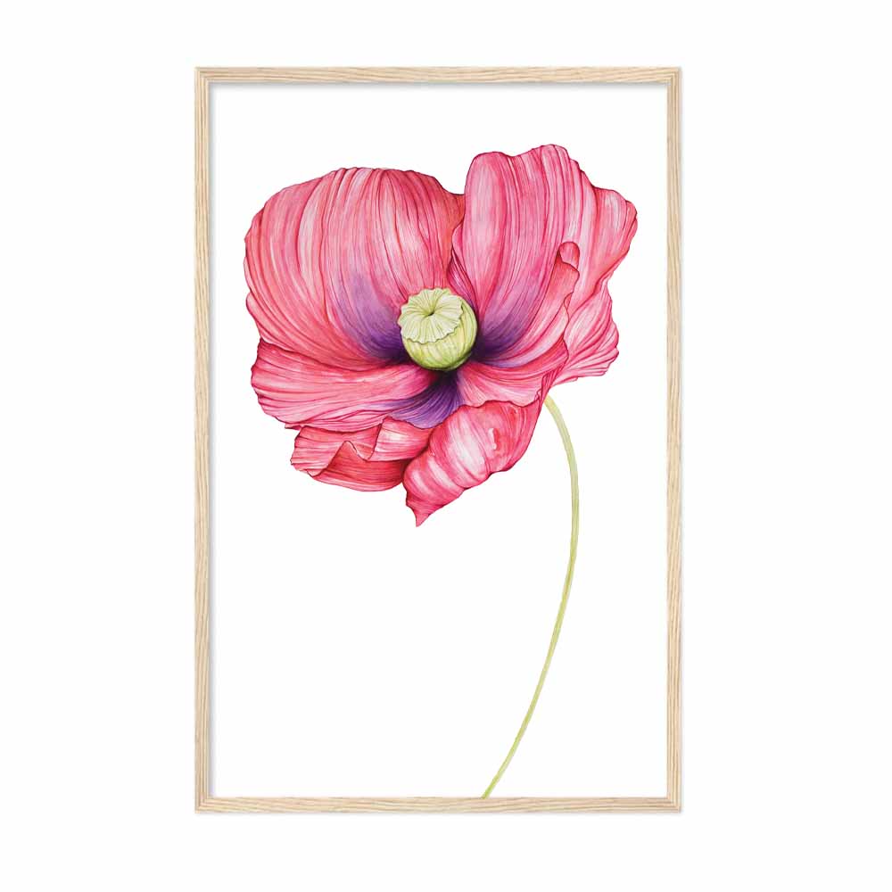 Red Poppy Print