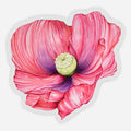Red Poppy Sticker