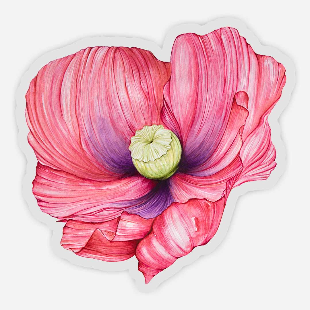 Red Poppy Sticker