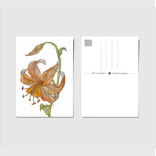 Load image into Gallery viewer, Tiger Lily
