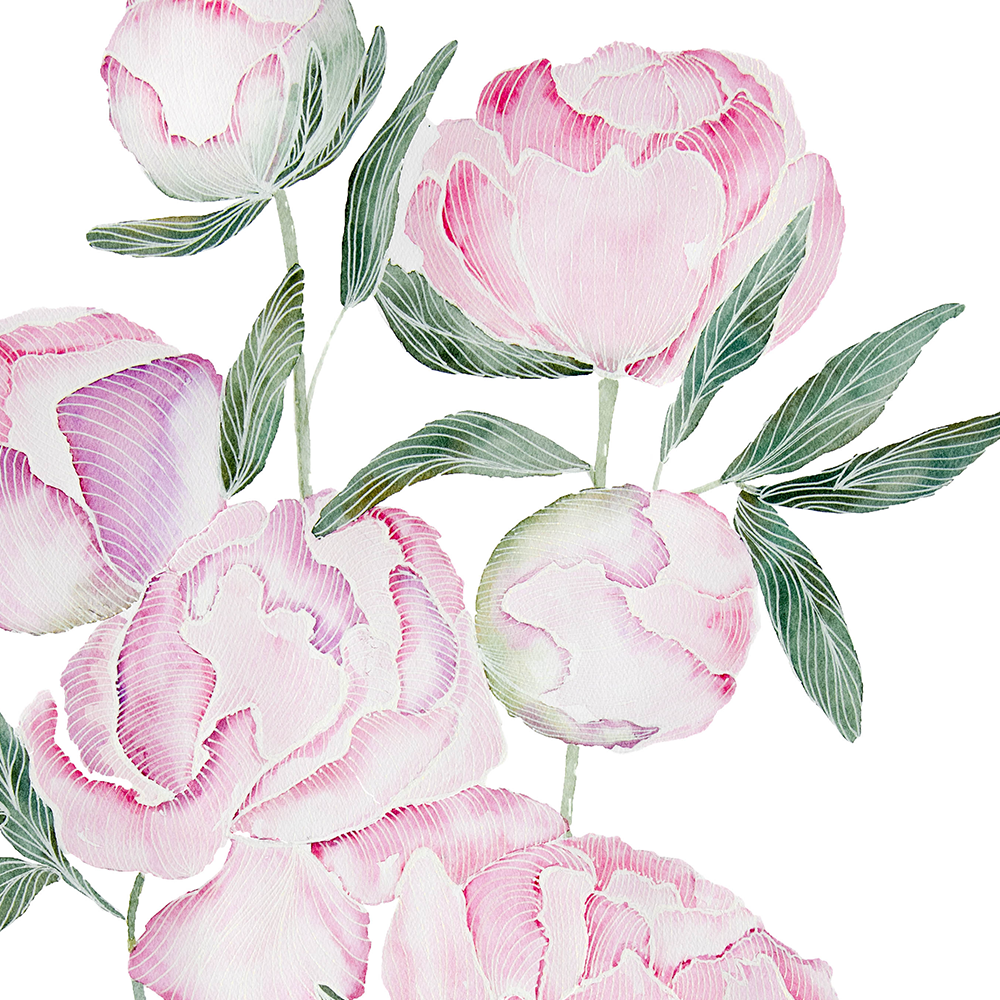 Pink Peony Print | White Line Series