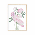 Pink Peony Print | White Line Series